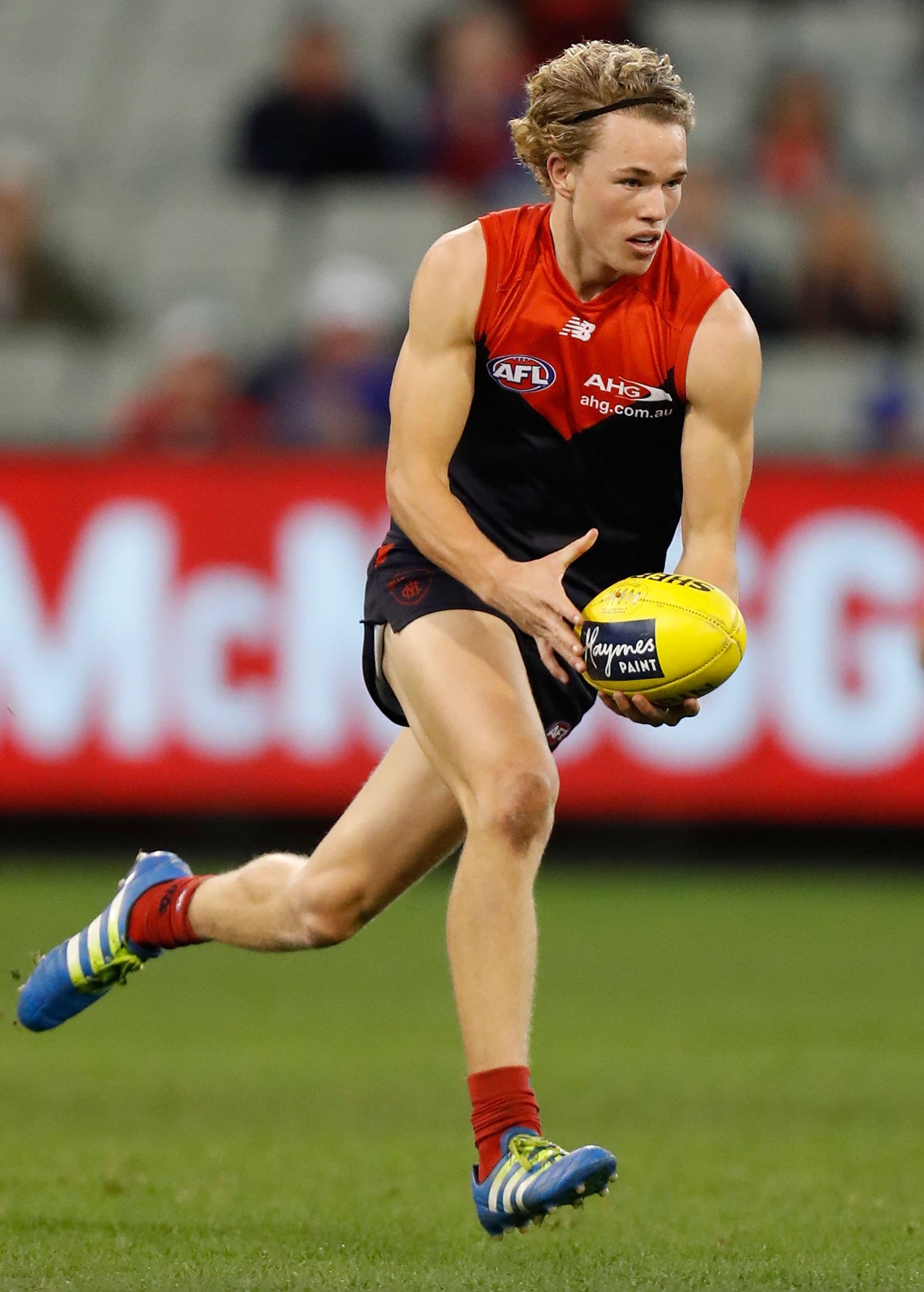 Speed Demon draws high praise from Roos