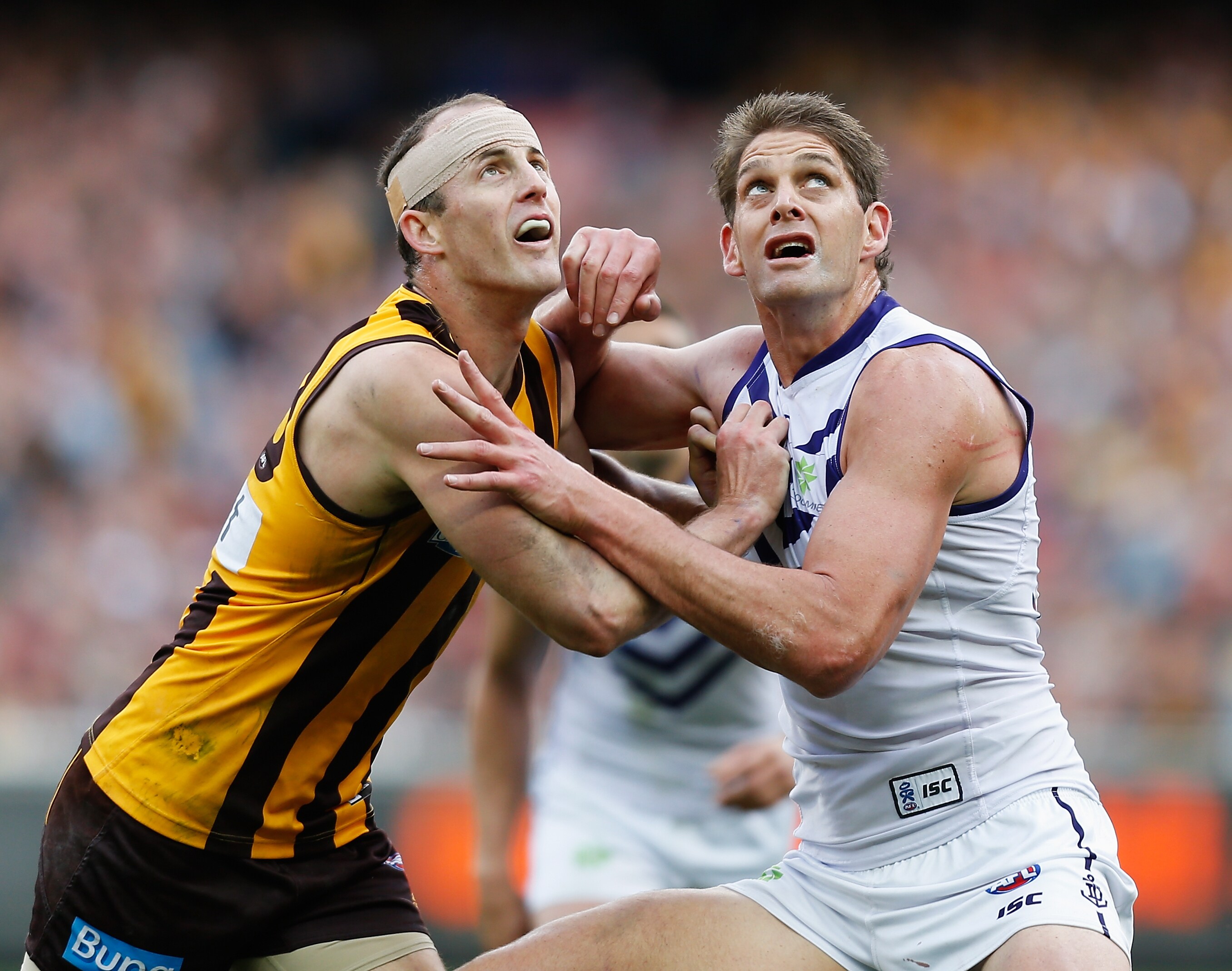 Madden's fears for the art of ruck