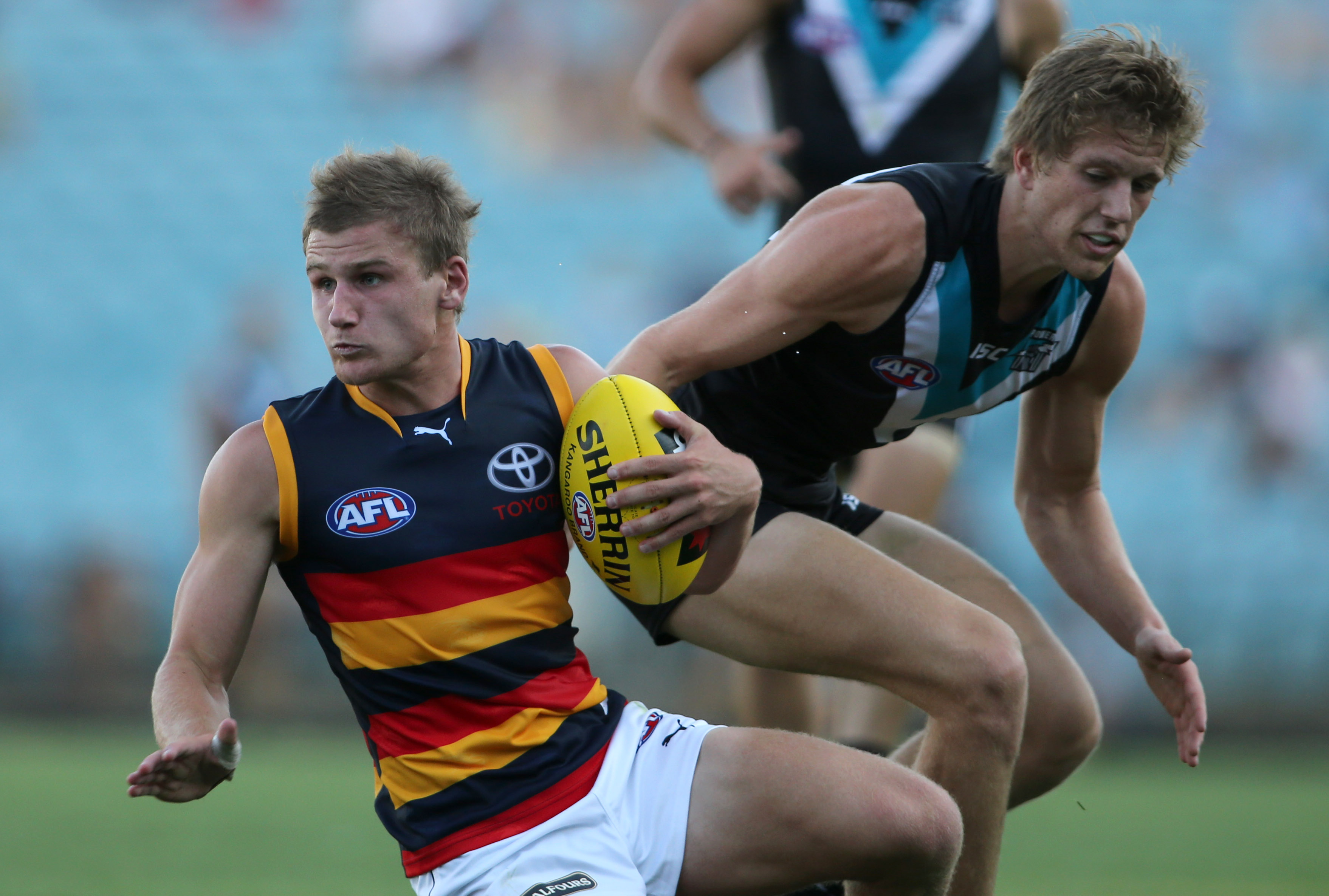 Jacob Roser Crows Crows search for answers and commitment