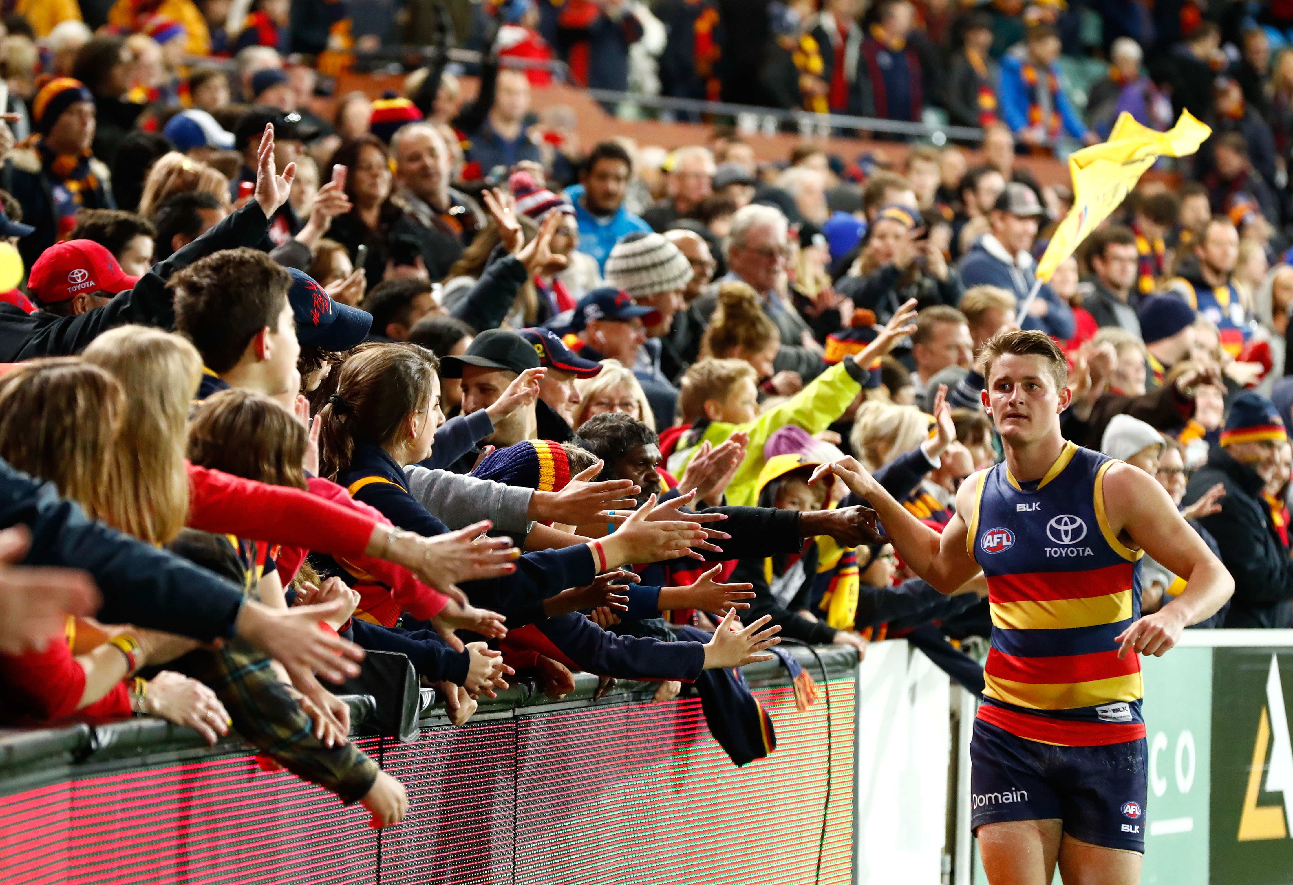 How the fans saw it Adelaide v North Melbourne
