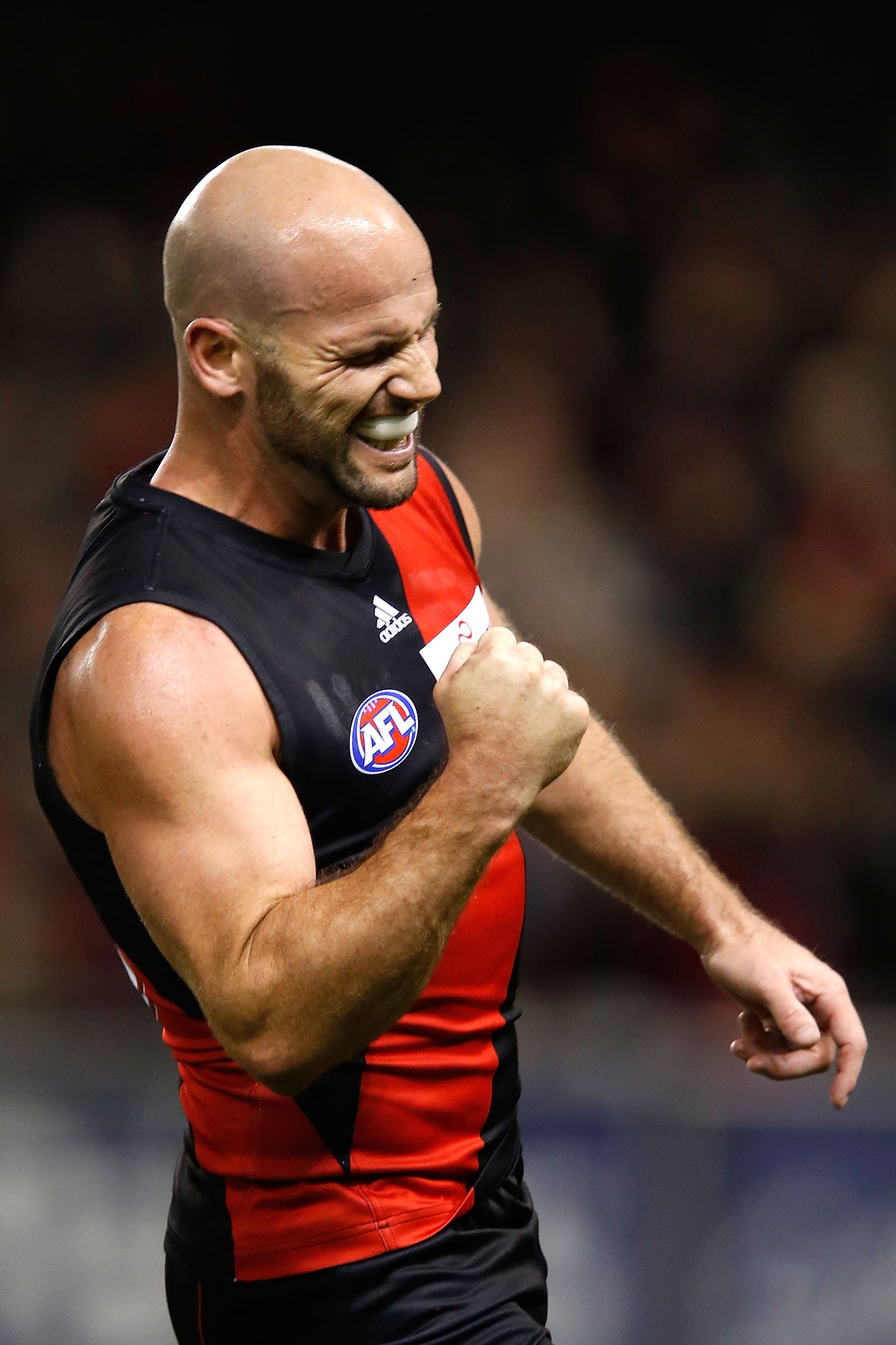 Happy Chappy's back in red and black