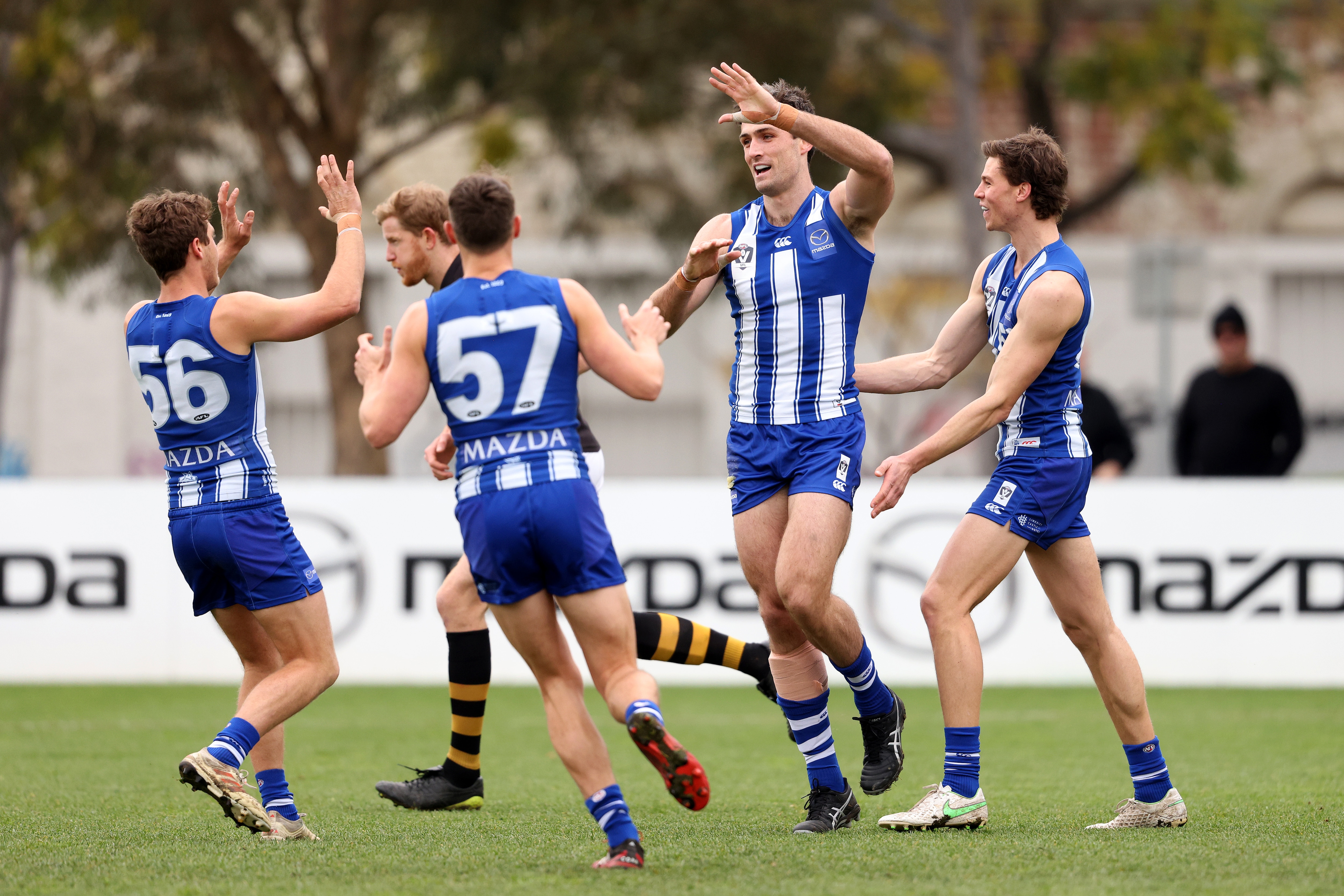 VFL season review: North Melbourne