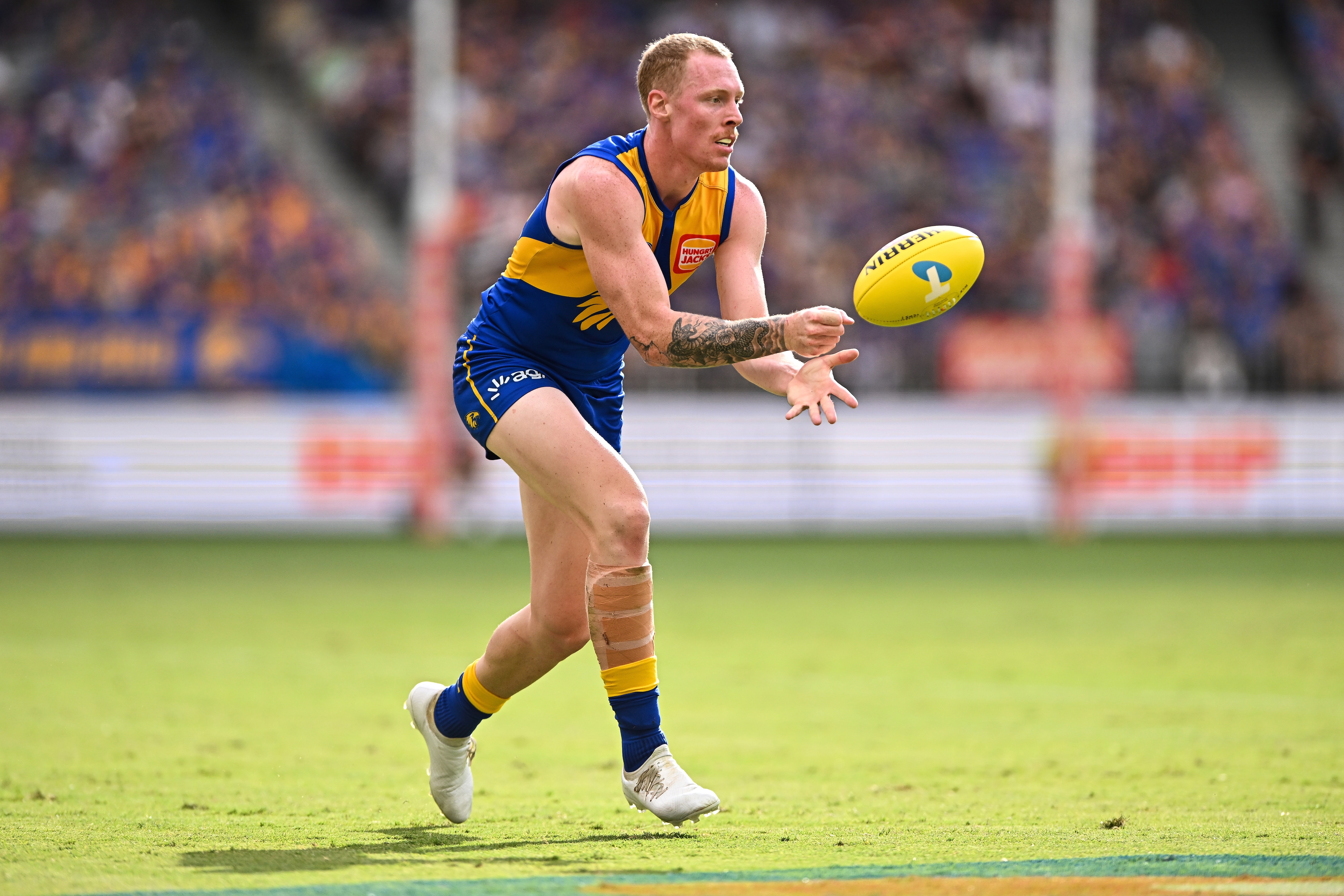 'They're really backing me in': Belief building as Eagles ruck comes of age