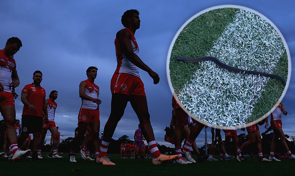Curse of the Lions? Power outage, snake invader halts practice game
