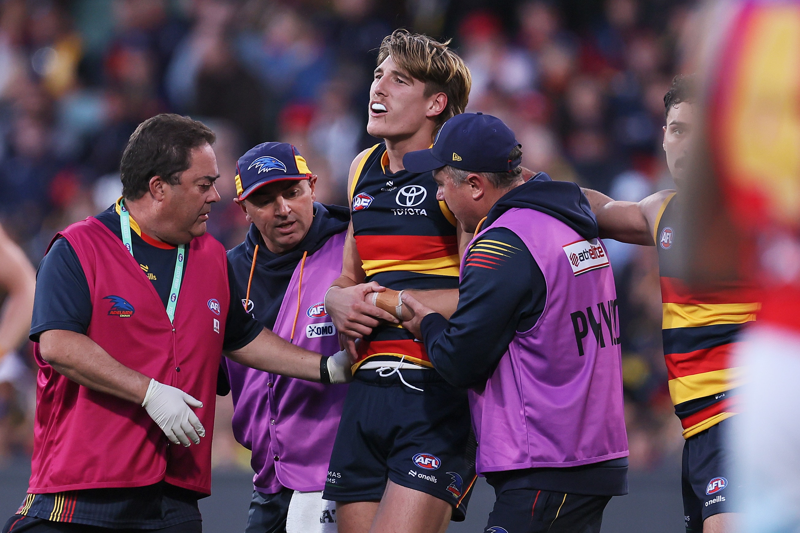 Breathtaking Crows Defender Charged By Match Review Officer Artwork Nature Breathtaking Crows Defender Charged By Match Review Officer Artwork Nature