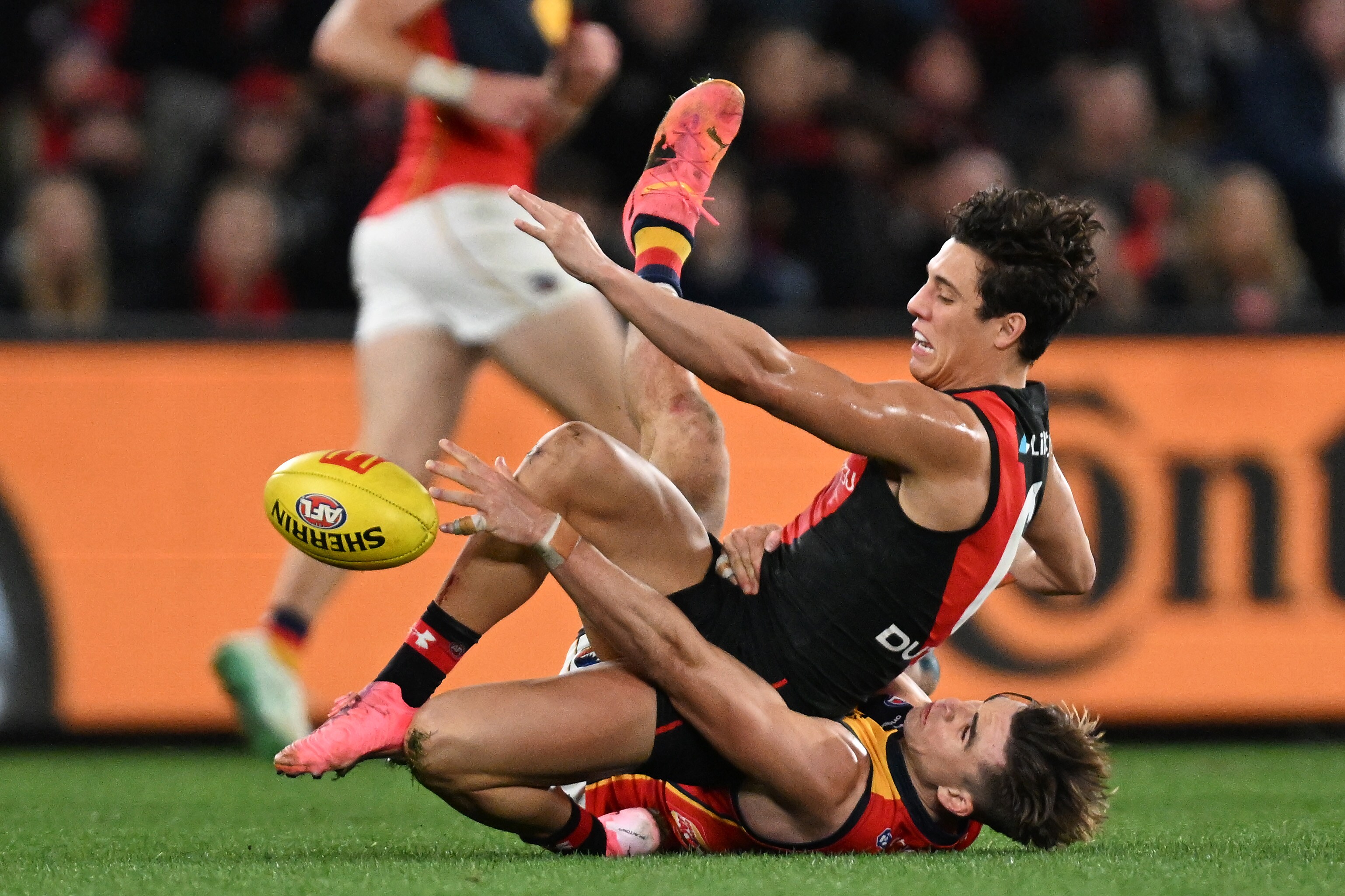 No panic for Dons, Crows wait for MRO call after 'confusing' week