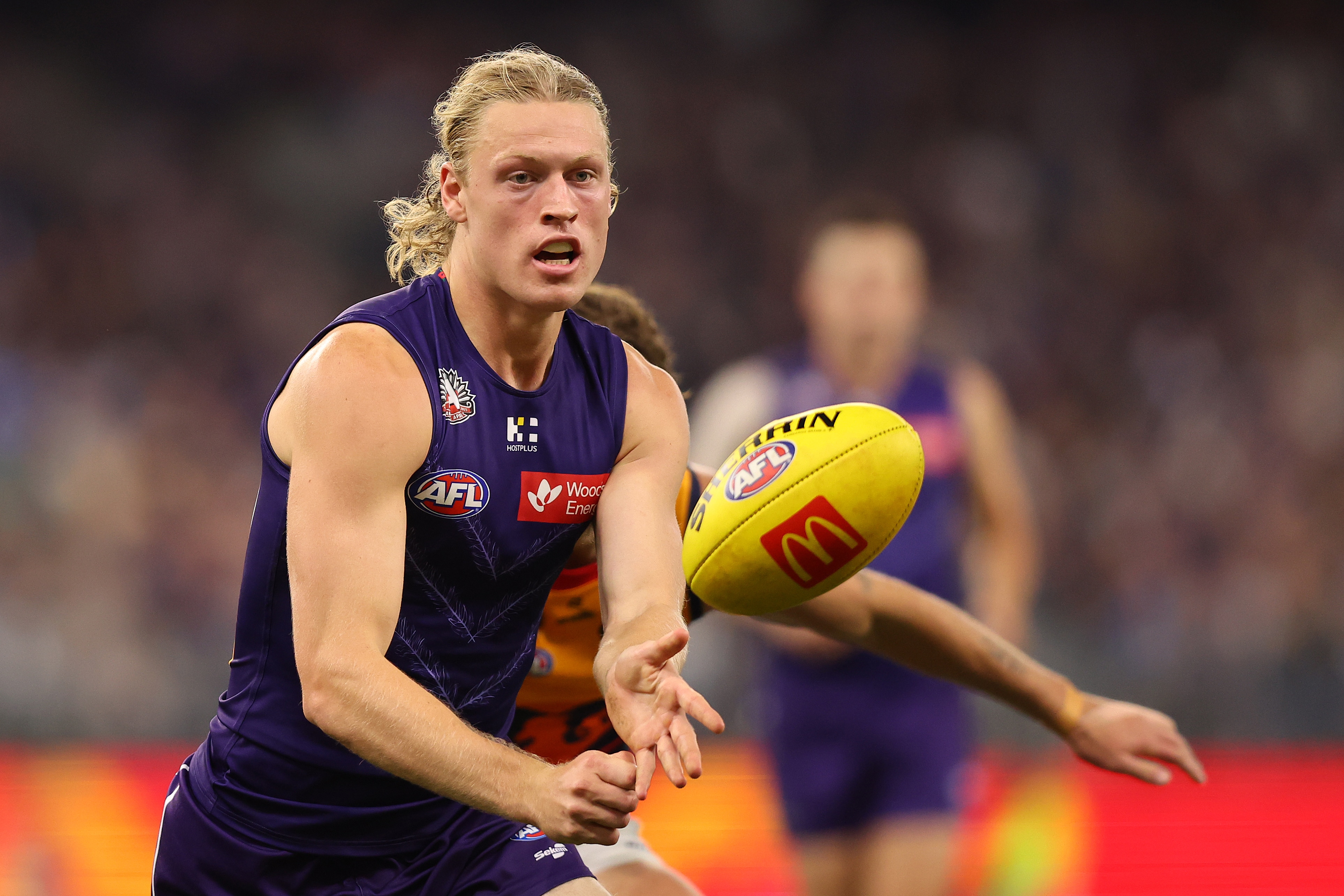 Amber quinn we began with BBJ and I could not help myself