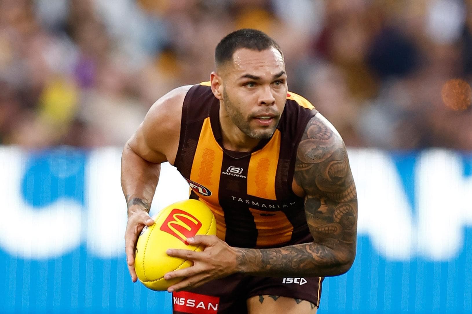 'Family comes first': Hawk to miss Darwin game, Dee ruled out