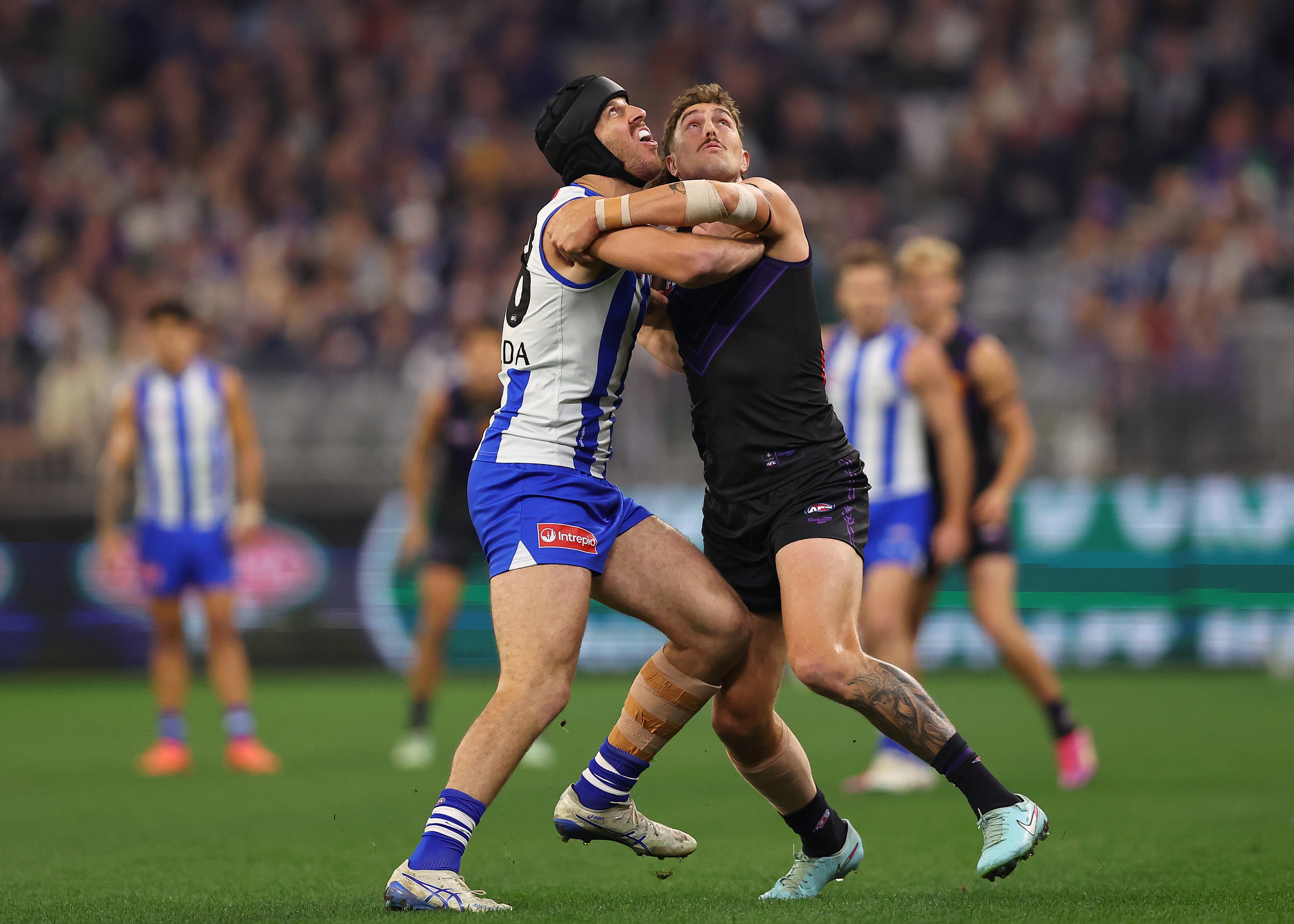 Roos eye Bunbury upset against red-hot Dockers. LIVE from 12.15pm AWST