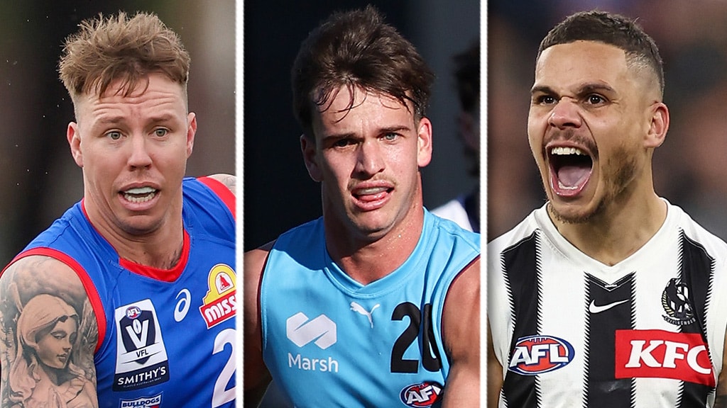 Around the state leagues: Dog's day out, Lions prospect stars, gun Pies back
