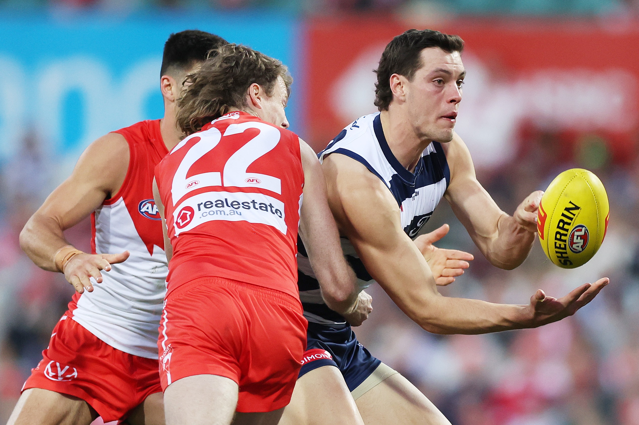 Cats coach left 'doubly surprised' by Tribunal's bump call