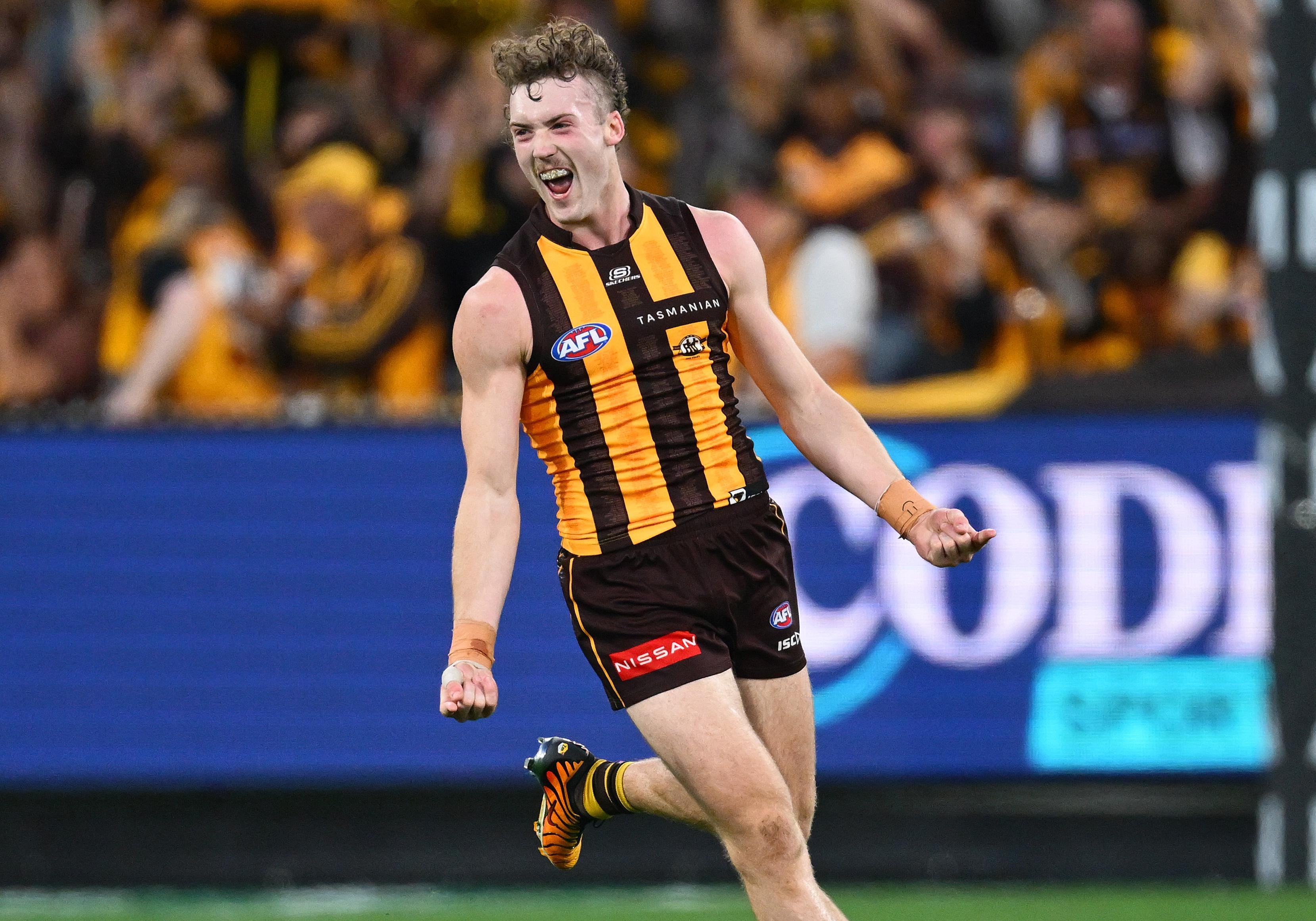 Hawthorn's Finals Fate Hangs on Josh Weddle's Scan Results: Will He Return?