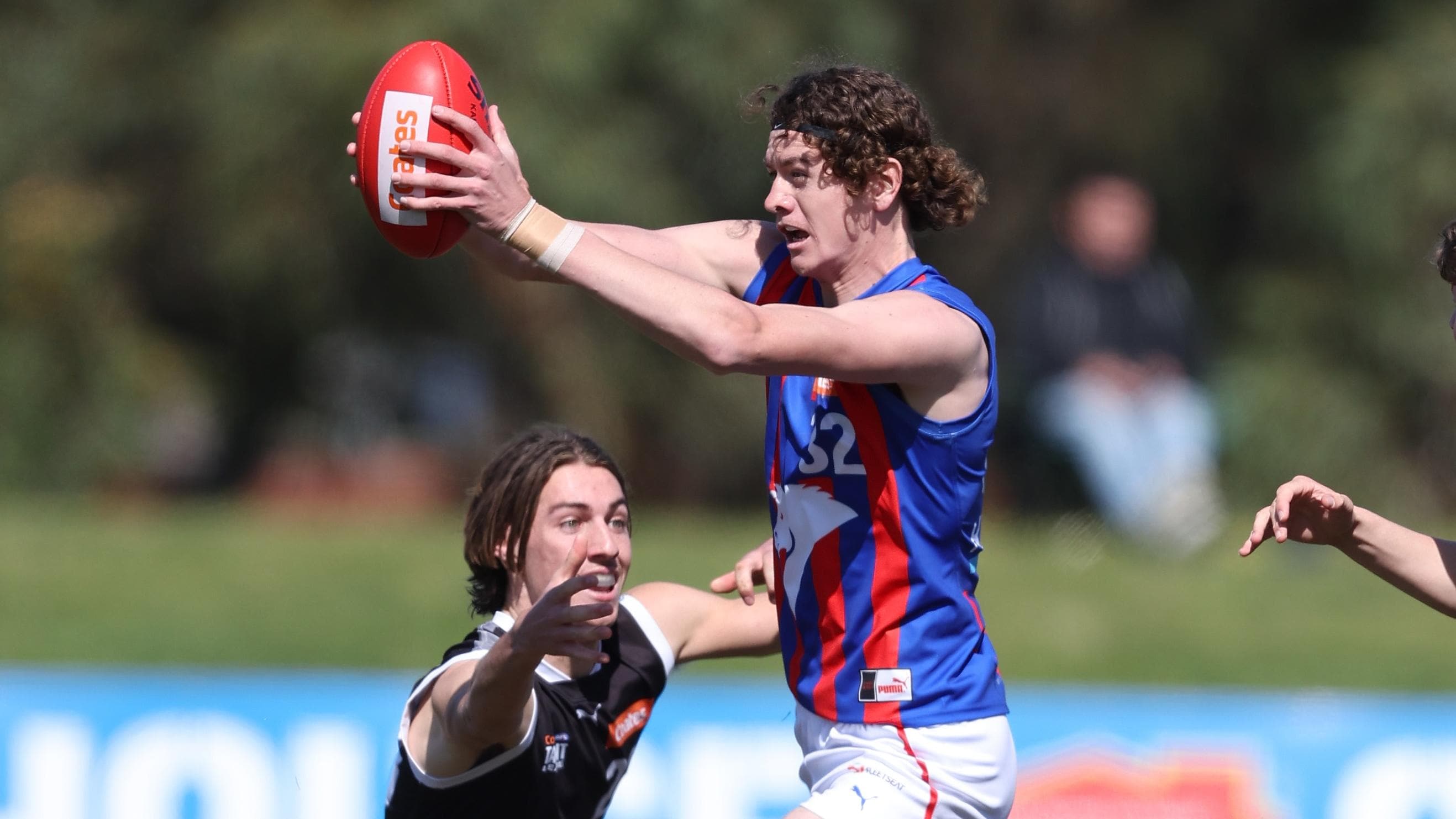Tigers invite young ruck to train for SSP spot
