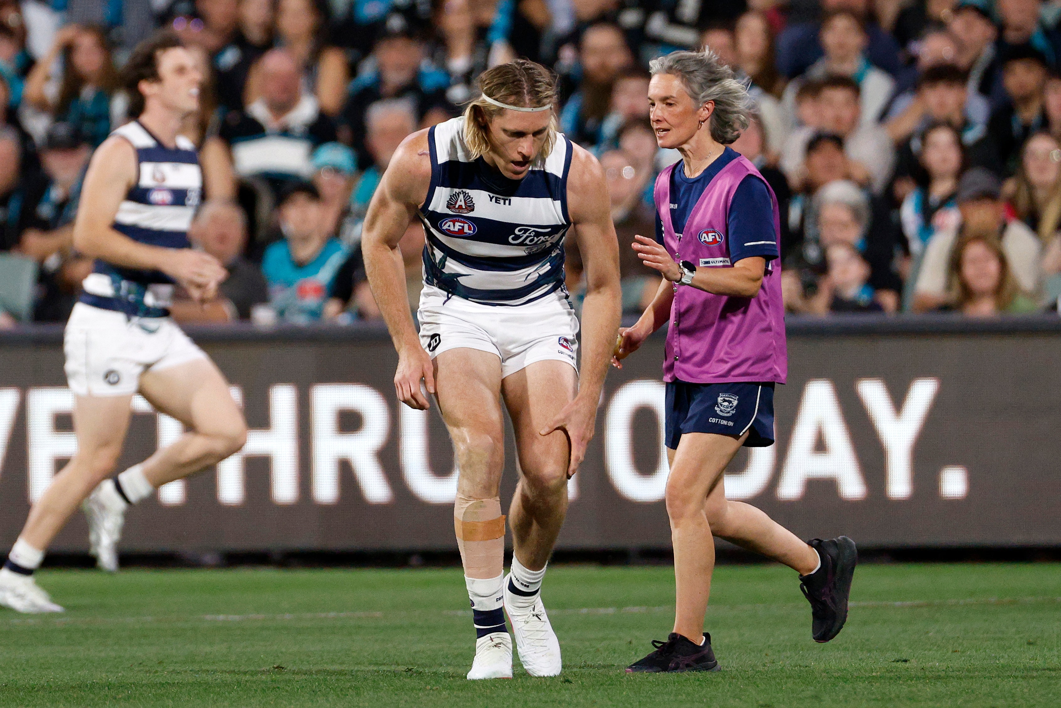 Geelong's 14-Match Winning Streak Against North Melbourne Faces Its Sternest Test — image 3