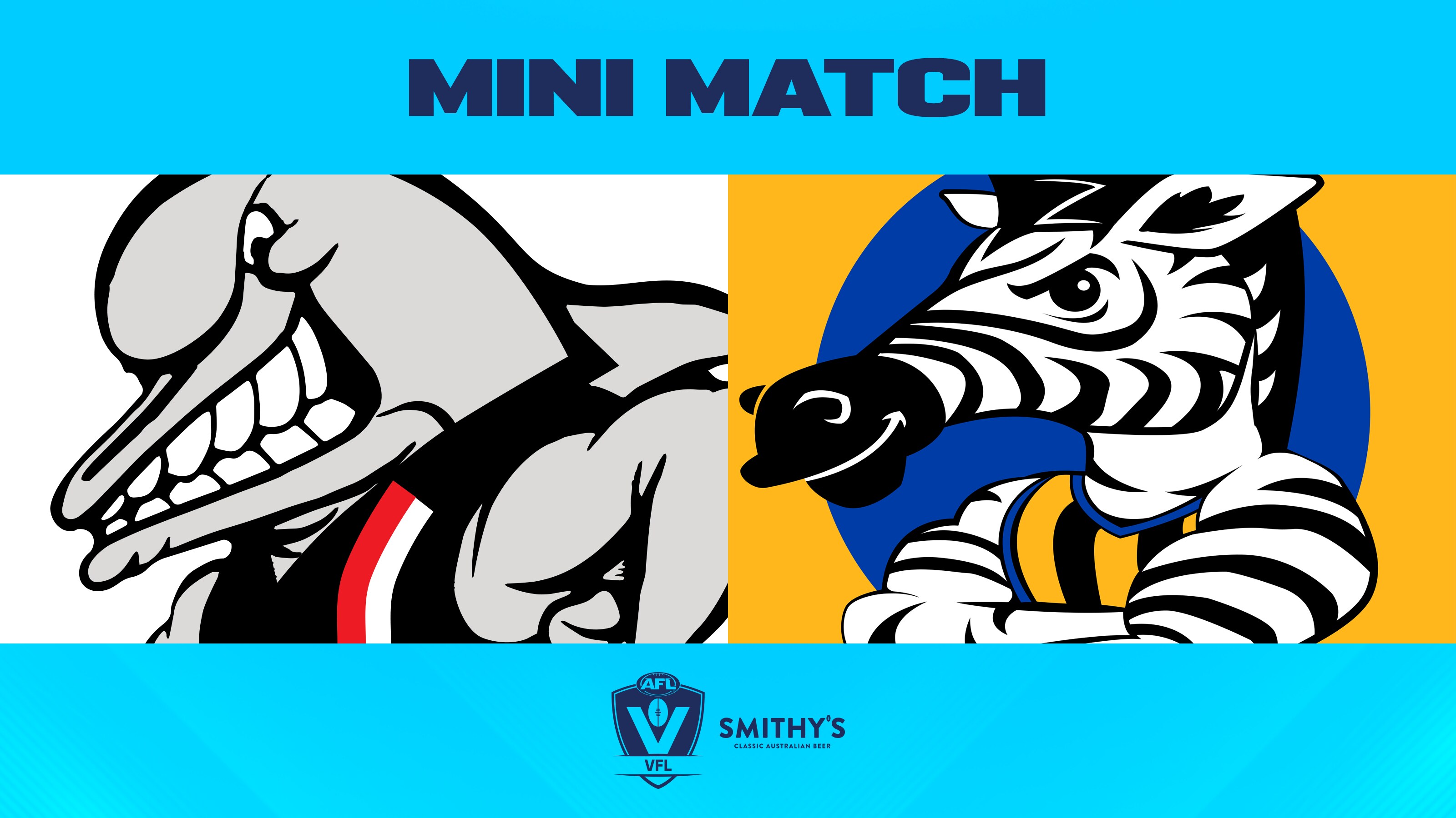 VFL Mini-Match: Frankston v Sandringham