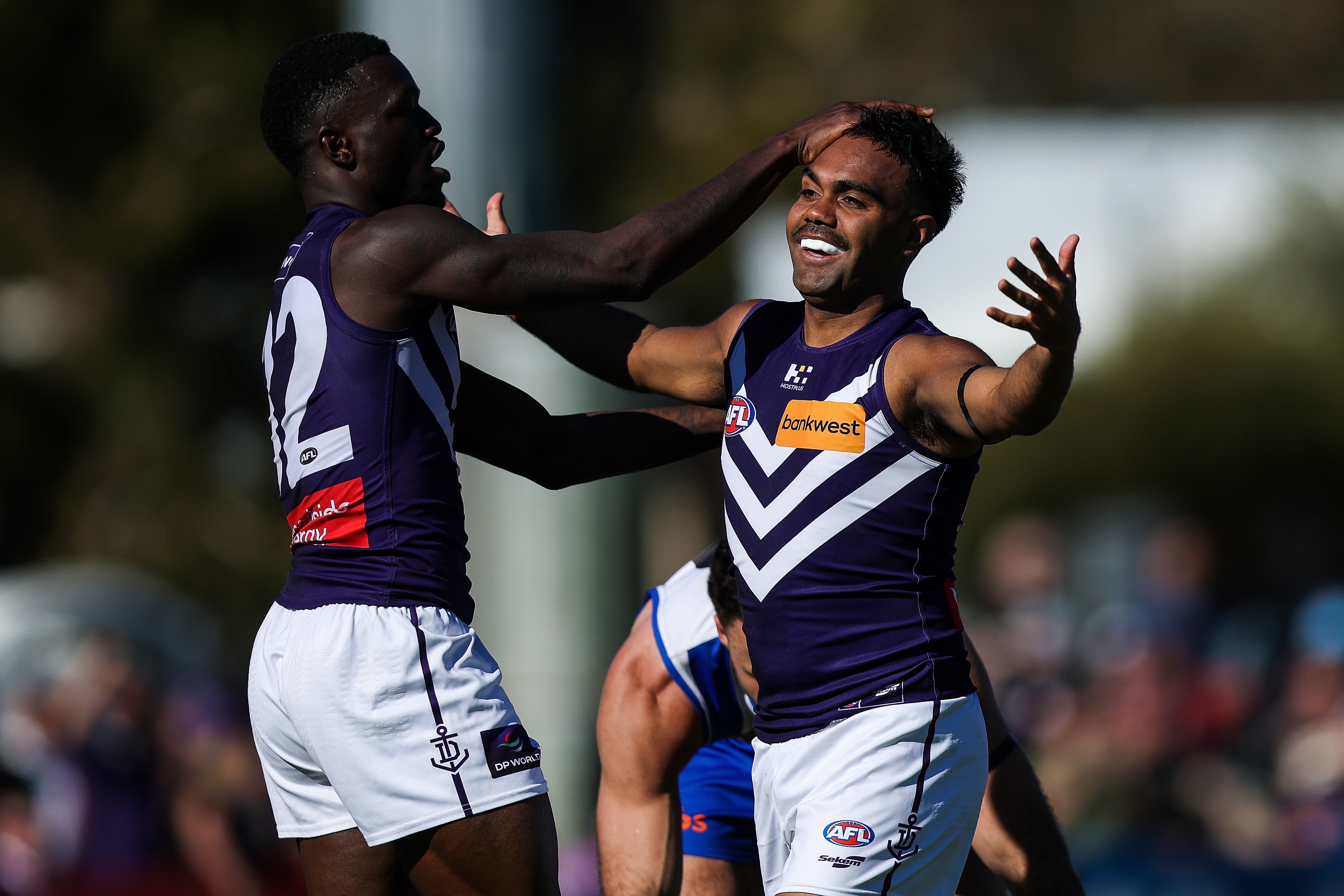 Dazzling Dockers make it a dozen with record Roos thrashing