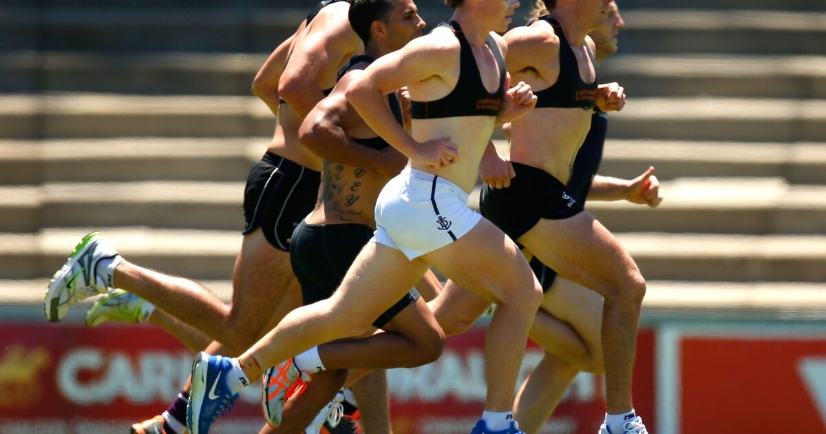 Fremantle set for new training base