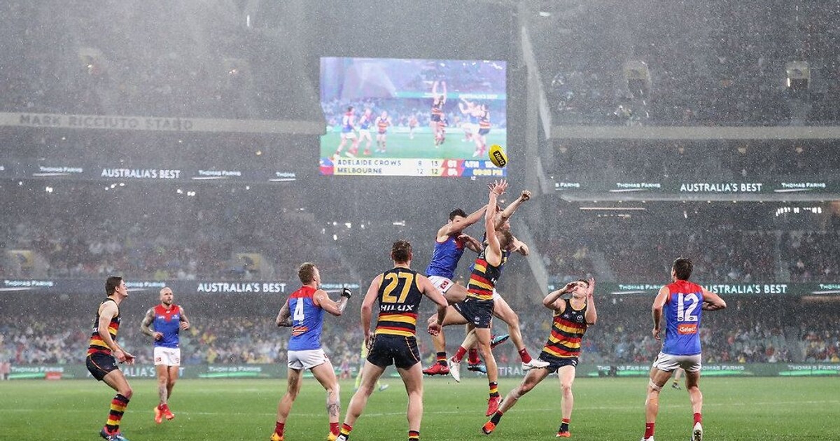 Match preview Melbourne v Adelaide