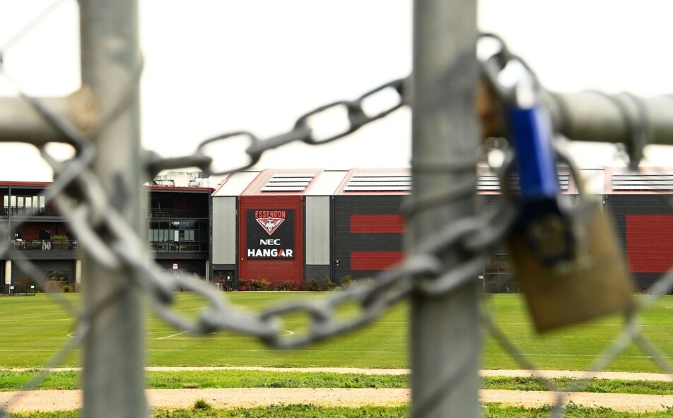 Explainer What Happens Next After The First Almost Positive Covid 19 Test