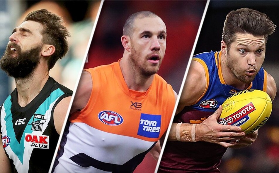 Teams Power Off The Hoff Giant Change Lions Massive Blow