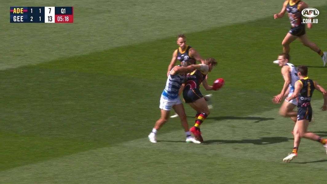 Every Club Is Confused Luke Beveridge Wants Clarity On Dangerous Tackles
