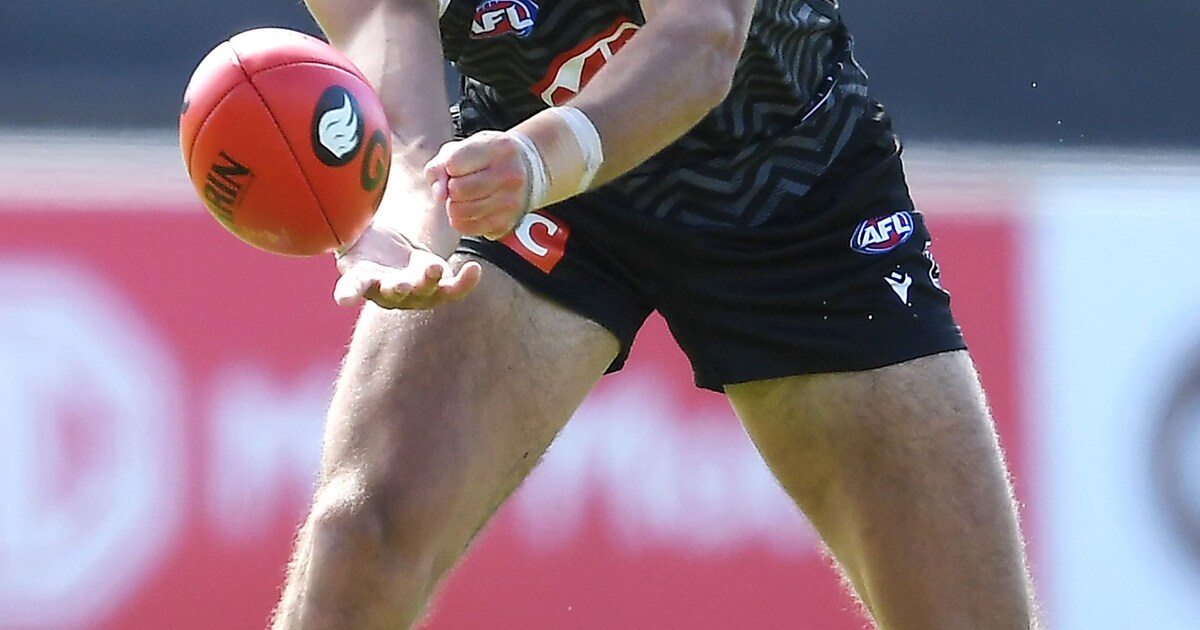 Official AFL Photo Galleries - AFL.com.au