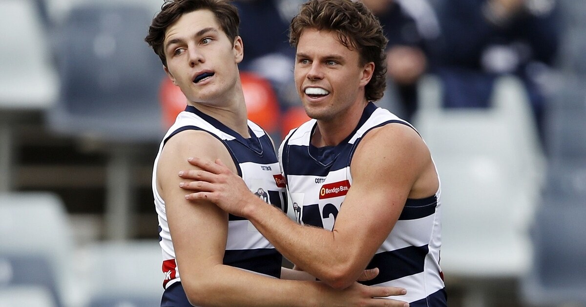 Geelong Cats Tear Brisbane Lions To Shreds In A Frenzied VFL Mauling