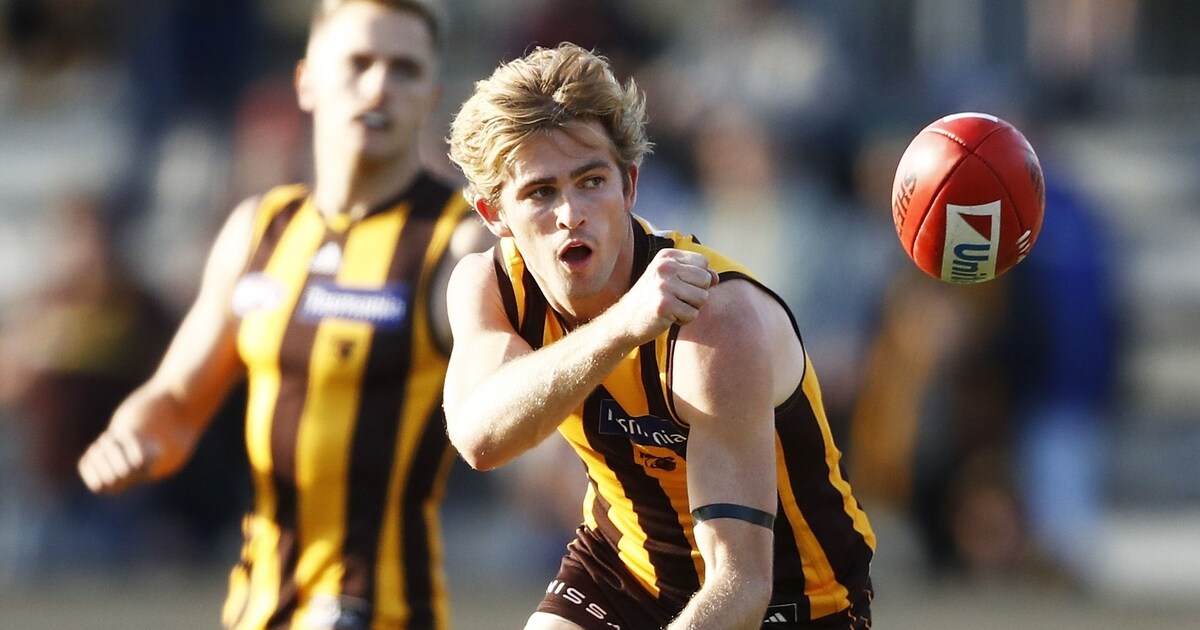More delistings for Hawthorn, Ollie Hanrahan cut