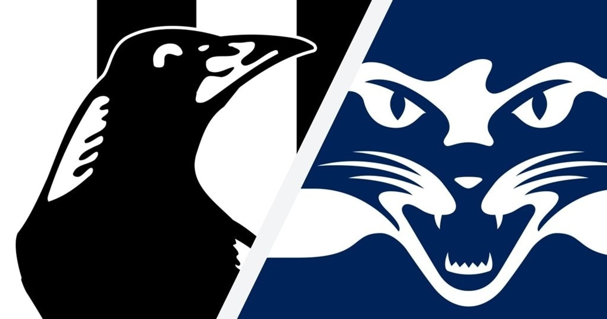 Highlights Collingwood v Geelong Highlights Collingwood v Geelong