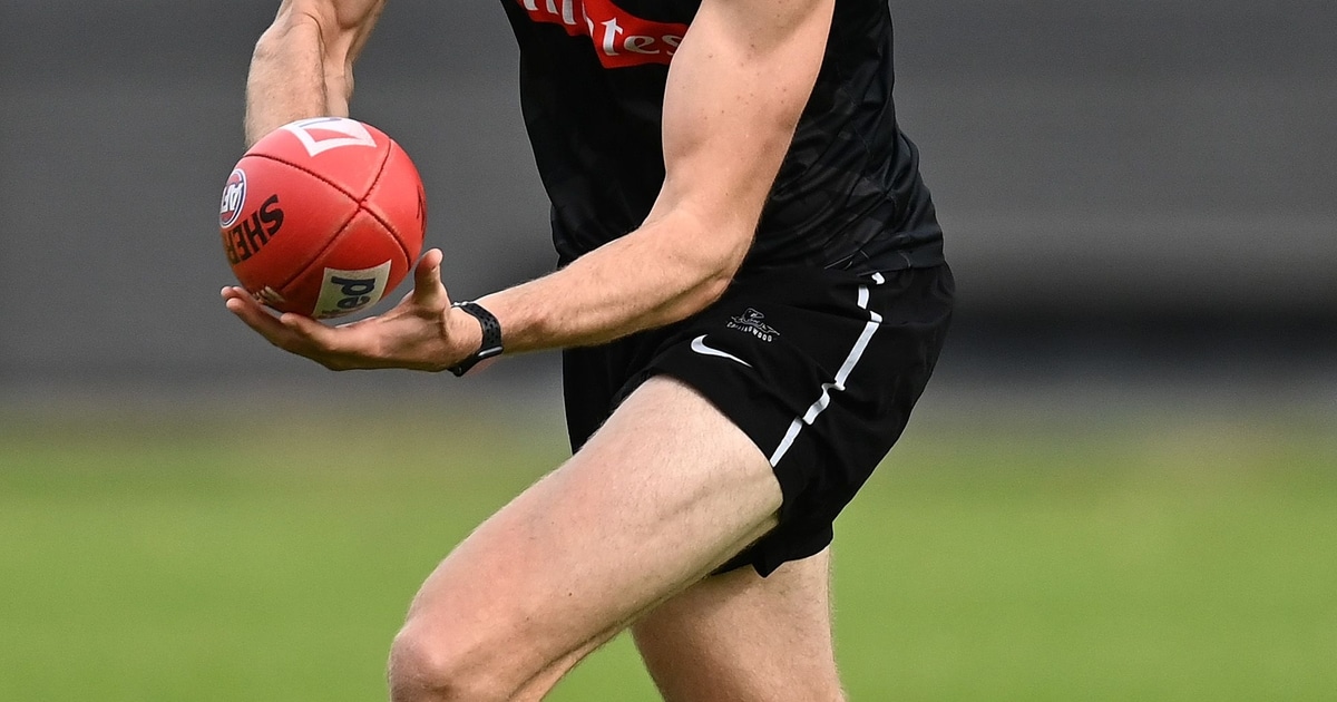 Official AFL Photo Galleries - AFL.com.au