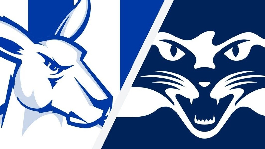 Highlights North Melbourne V Geelong