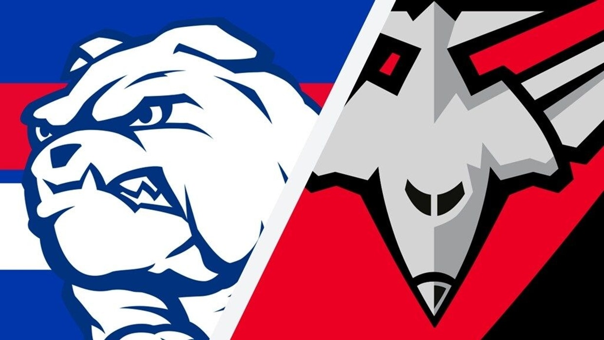 Essendon vs bulldogs 2019