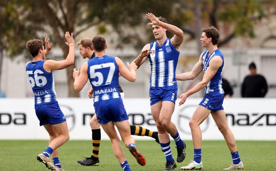 Vfl Season Review North Melbourne