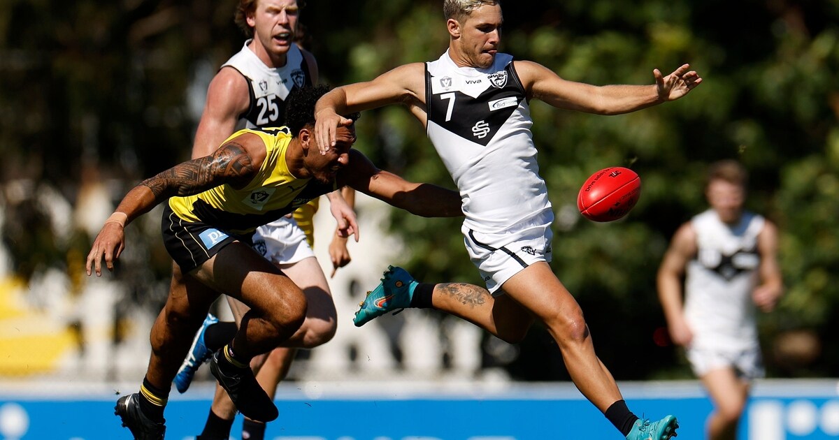 VFL Teams Rd5: Woodcock beats Shark suspension triple blow