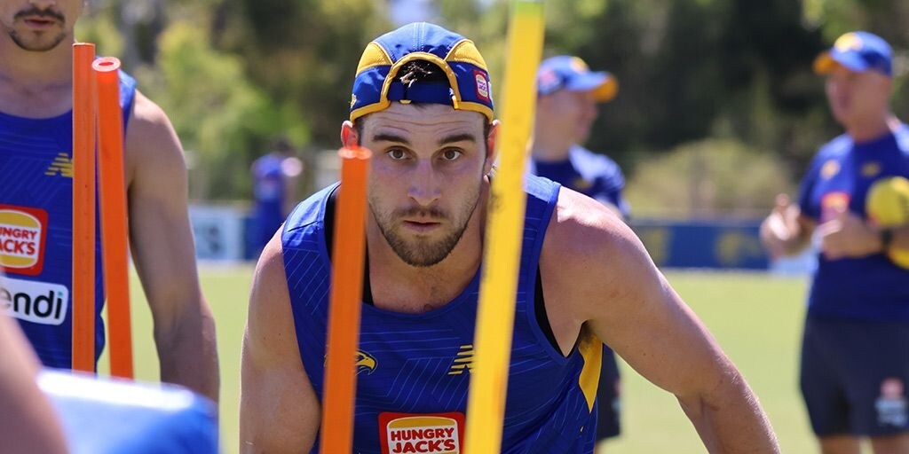 Scans confirm groin injury for star mid Elliot Yeo as West Coast Eagles' injury crisis worsens - Vimarsana News