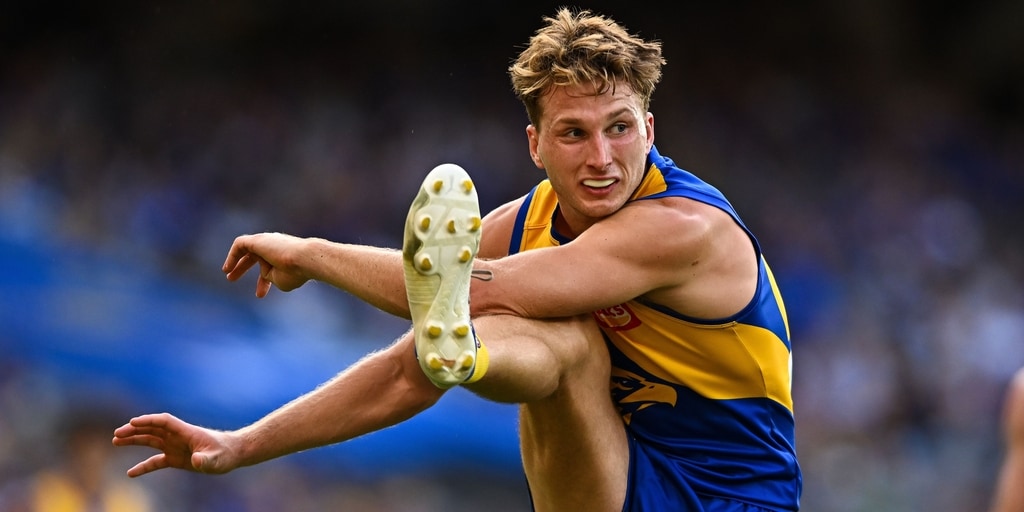 LISTEN: Defender Alex Witherden reveals the Fantasy fanatics at Eagles - Vimarsana News