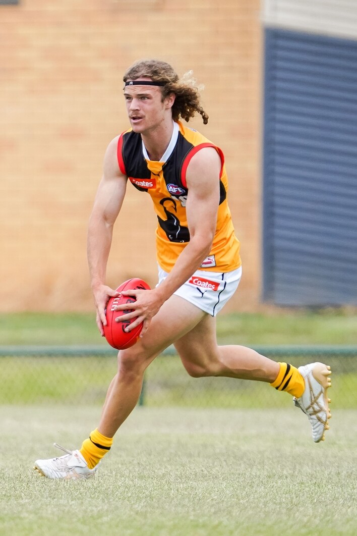 DSC01214.jpg?width=708&height=1062