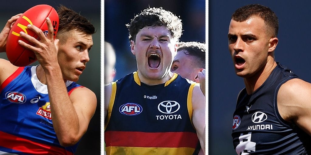 Around the state leagues: Axed Dog responds, Crow's day out, SSP Blue stars - Vimarsana News