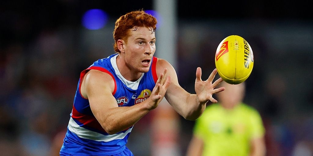 Staying put: Run-and-gun Dog inks two-year extension at the Kennel - Vimarsana News