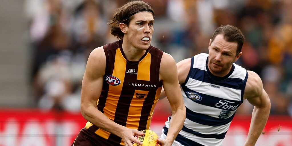 Young Hawk Will Day learns fate at Tribunal, Cats withdraw Rohan appeal - Vimarsana News