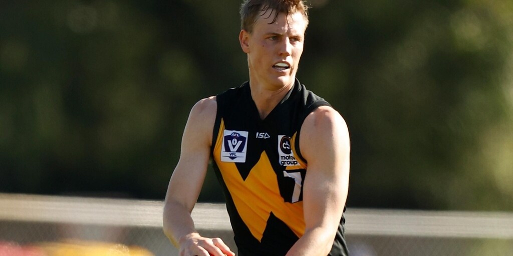 LISTEN: VFL gun Nick Hayes, sitting 24th overall, talks Fantasy advice and tips - Vimarsana News