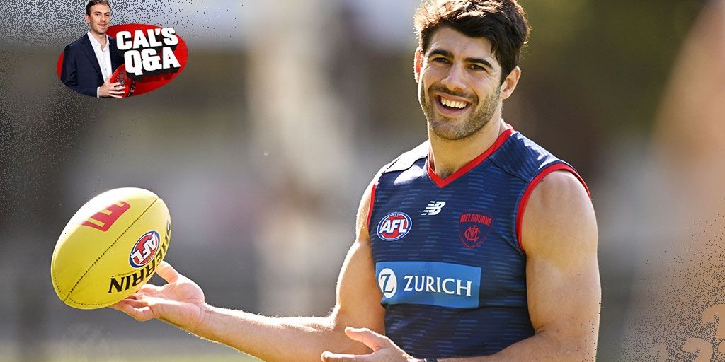 'I'm wired pretty differently': Petracca on success, regrets, and not slowing down - Vimarsana News