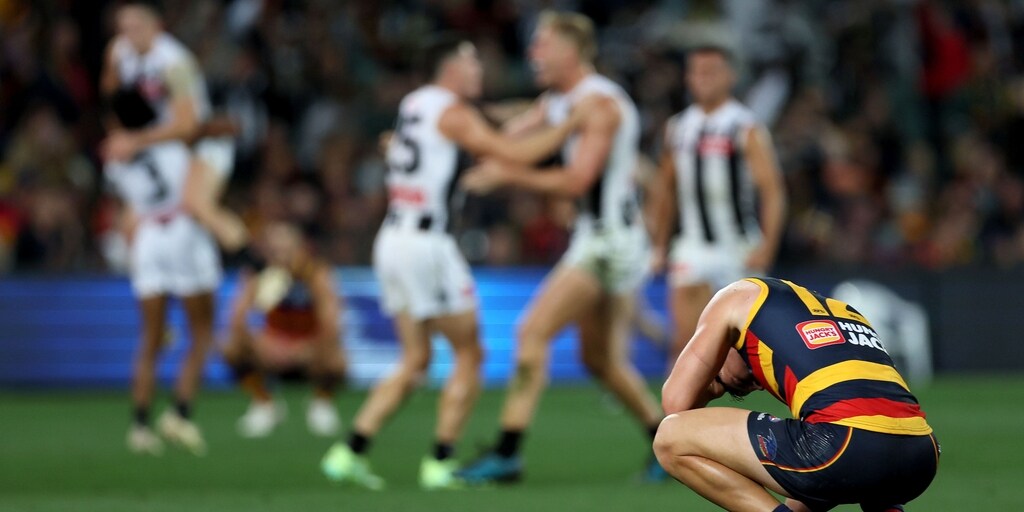 'We executed really well': Adelaide Crows positive after crushing loss to Collingwood - Vimarsana News