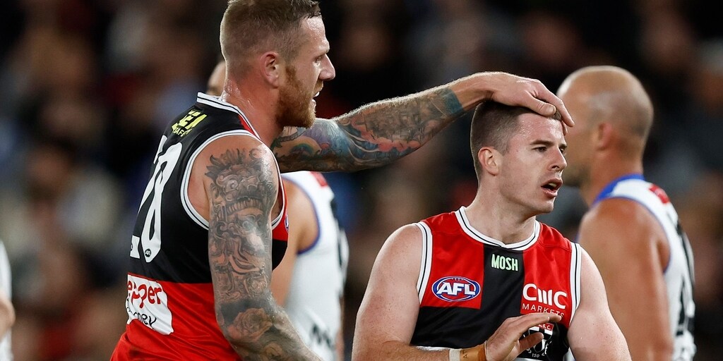 Off-line St Kilda Saints overcome North Melbourne Roos in a slugfest - Vimarsana News