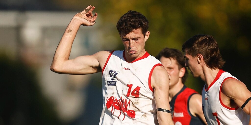 'Everything just fell into place': How newest Hawthorn Hawk Brandon Ryan rose from obscurity to the top - Vimarsana News