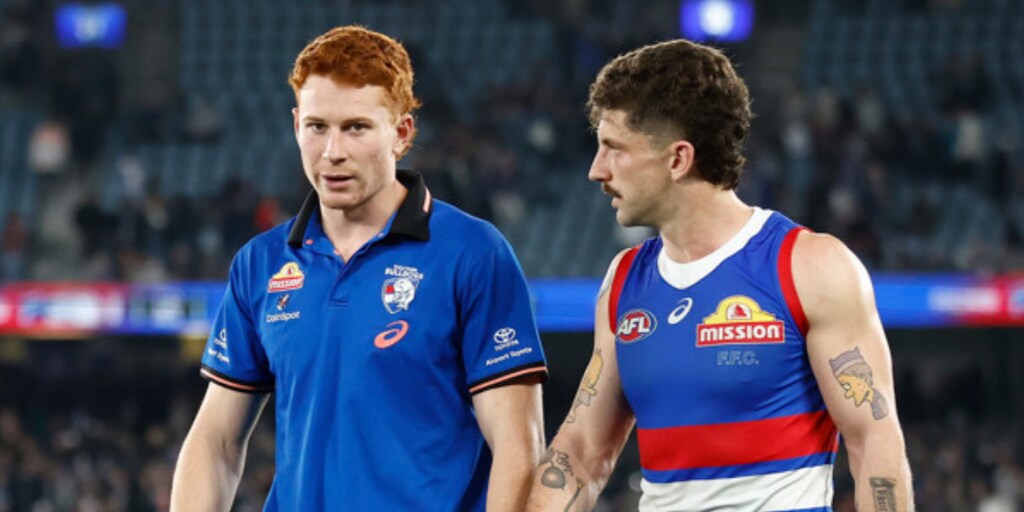 Bevo confirms hot Dog's hamstring, Scott says stars returning - Vimarsana News