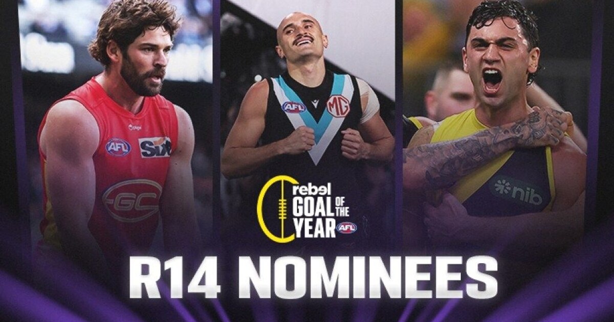 AFL Goal of the Year Round 14