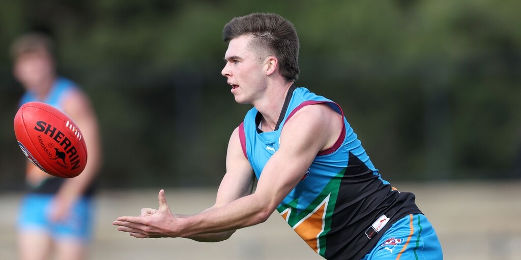Tassie gun Colby McKercher fires for the Allies as the Wizard Nick Watson bags five goals in a half - Vimarsana News