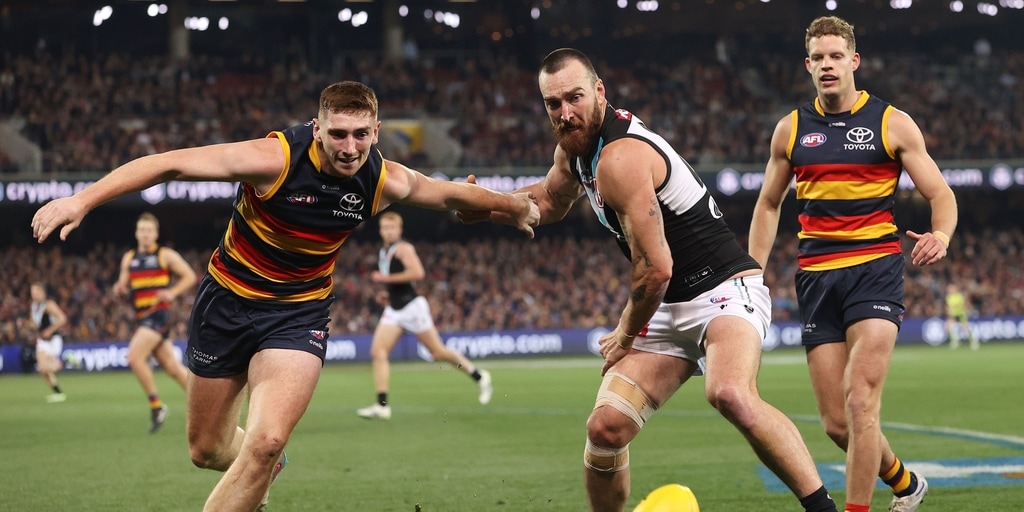 Ken Hinkley's one rule in 'win at all costs' Showdowns - Vimarsana News