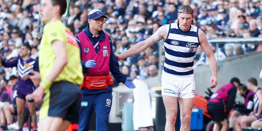 Cats count injury toll but other stars 'off their best' - Vimarsana News